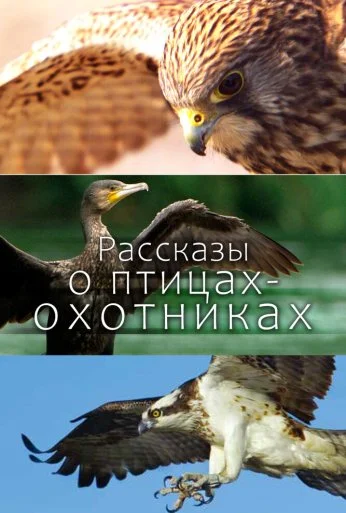 Рассказы о птицах-охотниках (2011)